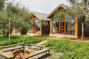 Thiết kế & thi công chuỗi homestay, khách sạn